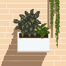 Dining Room Wall Planters thumbnail